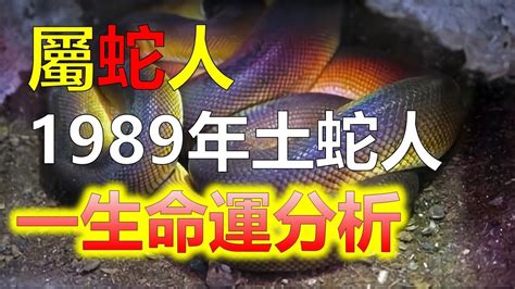 1989蛇幸運色|生肖蛇: 性格，愛情，2024運勢，生肖1989，2001，2013